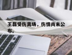 海德体育-王磊受伤离场，伤情尚未公布。