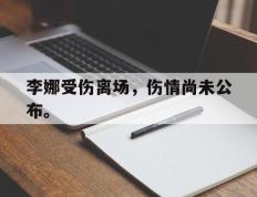 海德体育官方-李娜受伤离场，伤情尚未公布。