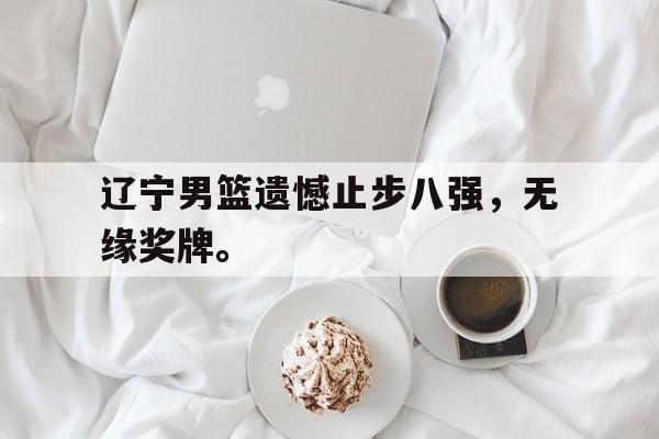 海德体育-辽宁男篮遗憾止步八强，无缘奖牌。