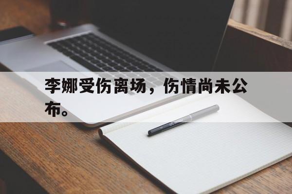 海德体育官方-李娜受伤离场，伤情尚未公布。